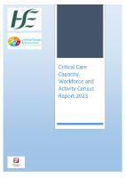Critical Care Capacity, Workforce and Activity Census 2023 front page preview
              