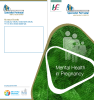 Mental Health in Pregnancy (printable version) front page preview
              