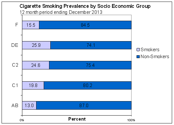 Social Economic Group 87