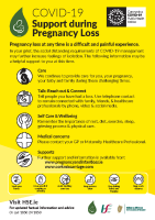 COVID-19 Pregnancy loss poster front page preview
              