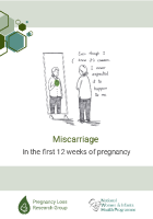 Miscarriage Booklet front page preview
              
