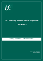 Testing for B12 and Folate Guidance front page preview
              
