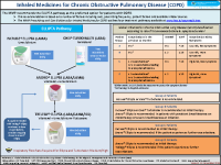 Inhaled Medicines for COPD - Prescribing Tips and Tools front page preview
              