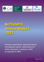 NCPA HPO Annual Audit 2021 front page preview
              