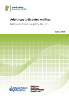Adult type 1 diabetes mellitus front page preview
              