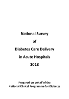 National Survey of Diabetes Care Delivery in Acute Hospitals 2018 front page preview
              