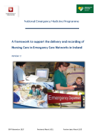Framework to support the delivery recording of nursing care in ECNs front page preview
              