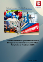 LBCT Guidance front page preview
              