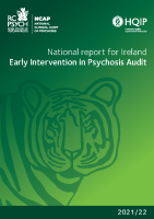 NCAP National report Ireland 2022 front page preview
              