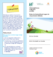 CMV Parent Info Leaflet Irish front page preview
              