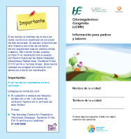 CMV Parent Info Leaflet Spanish front page preview
              
