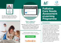 Palliative Care Needs Assessment Leaflet front page preview
              