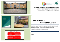 NCPSHI - Look back at 2023 - ebooklet front page preview
              