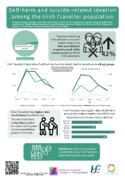 Traveller SI DSH infographic front page preview
              