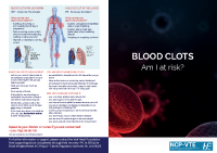 Blood Clots Am I at Risk front page preview
              