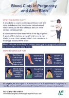 Patient education material Blood Clot in Pregnancy and Afterbirth front page preview
              