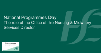 The role of the Nursing and Midwifery Services Director front page preview
              
