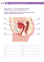 Bileog Oibre 1 - An córas atáirgthe baineann - Female Reproductive System front page preview
              