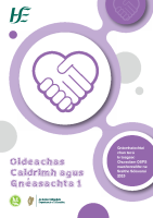 Oideachas Caidrimh agus Gnéasachta 1 - Relationships and Sexuality Education 1 front page preview
              