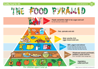 Food Pyramid front page preview
              
