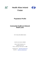 CHN-SOUTH-LAOIS-PROFILE-CENSUS-2022 front page preview
              