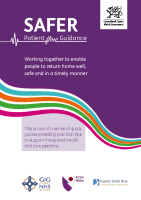 SAFER Patient Flow Guidance front page preview
              