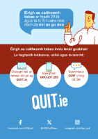 A Guide to Quitting Smoking - Irish front page preview
              