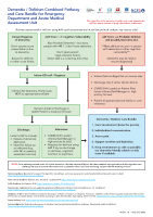 Dementia Delirium Combined Pathway and Care Bundle for ED/AMAU front page preview
              