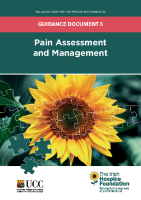 Guidance Document 5: Pain Assessment and Management front page preview
              