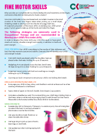 Paediatric Occupational Therapy: Fine motor skills front page preview
              