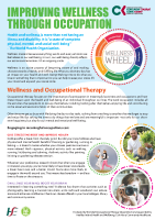 Occupations and Wellness front page preview
              