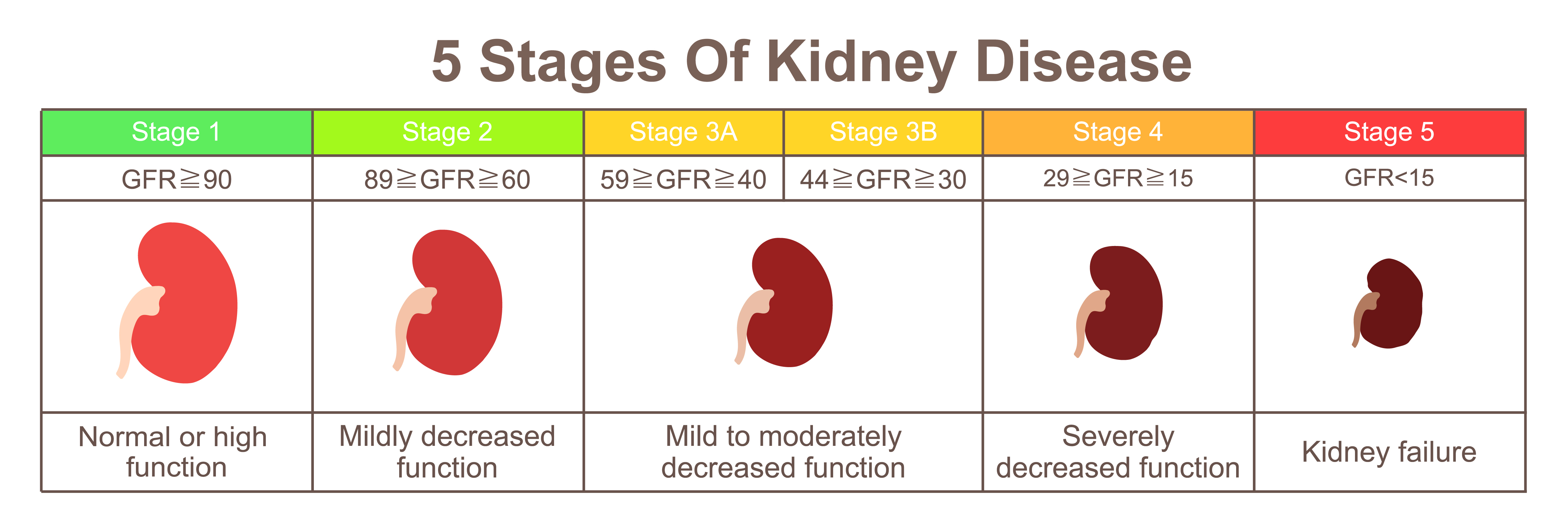 5 stages of kidney failure