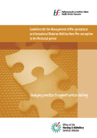 Guidelines for the Management of Pre-gestational and Gestational Diabetes Mellitus from Pre-conception to the Postnatal period front page preview
              