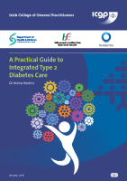 ICGP guide to integrated Type 2  front page preview
              