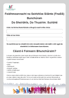 Patient Experience Survey 2017 - Irish front page preview
              