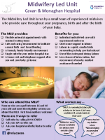 Midwifery Led Care Poster front page preview
              