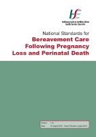  National Standards for Bereavement Care following Pregnancy Loss and Perinatal Death front page preview
              