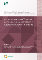 Grant scheme paper 12 front page preview
              