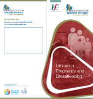 Lithium in Pregnancy and Breastfeeding (printable version) front page preview
              