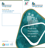 Postnatal Depression Information for Carers (printable version) front page preview
              