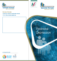 Postnatal Depression (printable version) front page preview
              