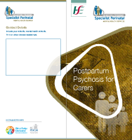 Postpartum Psychosis information for Carers (printable version) front page preview
              