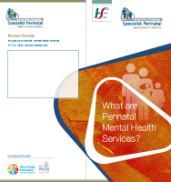 What are Perinatal Mental Health Services? (printable version) front page preview
              