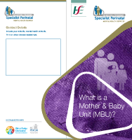 What is a Mother & Baby Unit? (MBU) printable version front page preview
              
