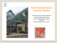 Falls Prevention Socks A Quality Initiative - Elaine Harris front page preview
              