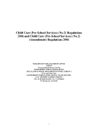 Child Care (Pre School) Regulations 2006 front page preview image