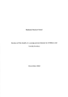 Dermot Final Report image link