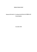 Matthew Final Report image link