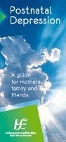 Postnatal Depression A Guide for Mothers, Family and Friends image link