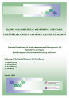 Care Systems for Self-harm and Suicidal Behaviour front page preview
              